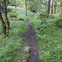 Laura Fiddes-Baron, Allie Bailey - Six Dales Trail (United Kingdom)