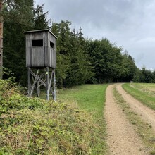 Sarah Mangler - Wälder, Wasser & Natur pur Altmühltal