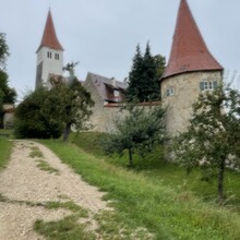 Sarah Mangler - Wälder, Wasser & Natur pur Altmühltal