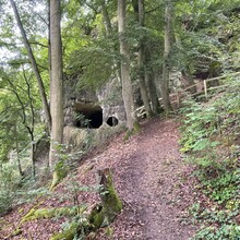 Sarah Mangler - Wälder, Wasser & Natur pur Altmühltal