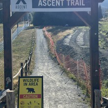Harry Marshall - Ascent Trail (Blackomb Mountain)