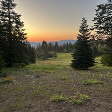 Kaylee Levine - Pacific Crest Trail through OR (OR)