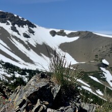 Tabatha Collins, James Clark - Upper Dungeness 5 Peaks (WA)