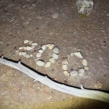 Candice Burt - Pine Creek Pentangle (CO)