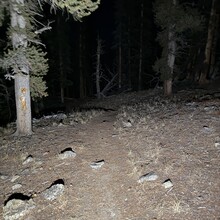 Candice Burt - Pine Creek Pentangle (CO)