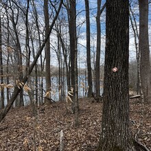 Greyson Gilbert - Lakeside Valley Loop, Tims Ford State Park (TN)