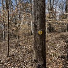 Greyson Gilbert - Lakeside Valley Loop, Tims Ford State Park (TN)