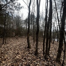 Greyson Gilbert - Lakeside Valley Loop, Tims Ford State Park (TN)