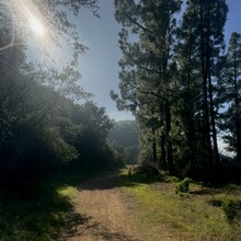 Ellaney Matarese - Brown Mountain Loop (CA)