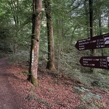 Koen Demyttenaere - Mullerthal Full Trail (Luxembourg)