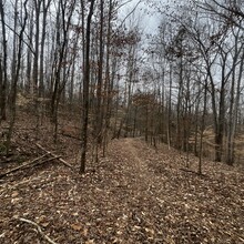 Greyson Gilbert - Lakeside Valley Loop, Tims Ford State Park (TN)