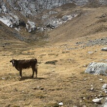 Oliver Cohen - Huayhuash Circuit (Peru)
