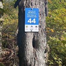 Brandon McCluskey - Dobson Trail (2025) (NB, Canada)