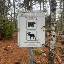 Yasemin Surmeli, Brandon McCluskey - Bluff Wilderness Hiking Trail (NS, Canada)