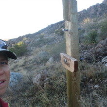 Marcy Beard - Catalina State Park All Trails (AZ)