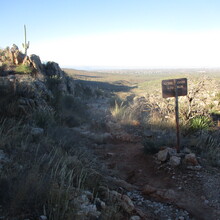 Marcy Beard - Catalina State Park All Trails (AZ)