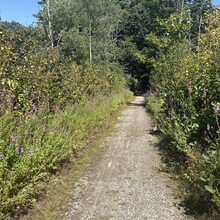Maria DiDomenica - Rockingham Recreational Rail Trail (NH)