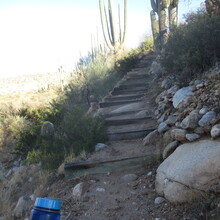 Marcy Beard - Catalina State Park All Trails (AZ)
