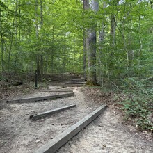 Logan Clark - Shades State Park 12 Hour (IN)