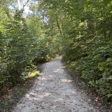 Logan Clark - Shades State Park 12 Hour (IN)