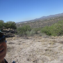 Marcy Beard - Catalina State Park All Trails (AZ)