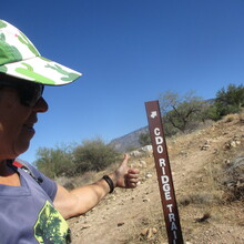 Marcy Beard - Catalina State Park All Trails (AZ)