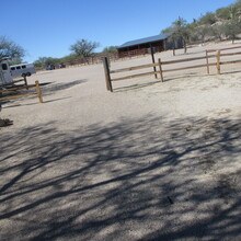 Marcy Beard - Catalina State Park All Trails (AZ)