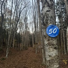 Jason Pageau - Cranberry Lake 50 (NY)