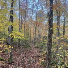 Jason Pageau - Cranberry Lake 50 (NY)