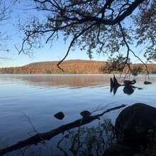 Jason Pageau - Cranberry Lake 50 (NY)