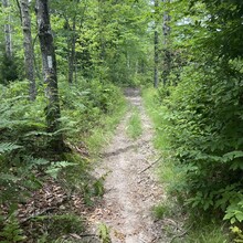Liz Allen - Arcadia Mt Tom Trail (RI)
