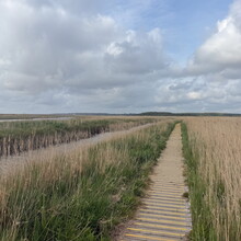 Ben Morris - Suffolk Coast Path (UK)