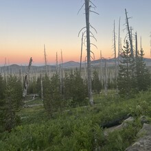 Kaylee Levine - Pacific Crest Trail through OR (OR)