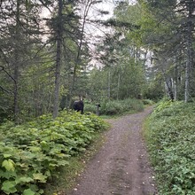 Kristen Monahan, Thomas Smith - Greenstone Ridge Trail (MI)