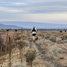 Aaron Tucker - OC&E Rail Trail (OR)