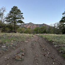Carie Pigeon - Flagstaff AZT Loop (AZ)