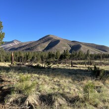 Carie Pigeon - Flagstaff AZT Loop (AZ)