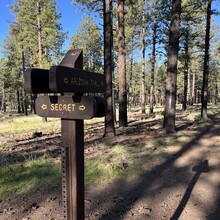 Carie Pigeon - Flagstaff AZT Loop (AZ)