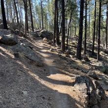 Carie Pigeon - Flagstaff AZT Loop (AZ)