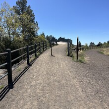 Carie Pigeon - Flagstaff AZT Loop (AZ)