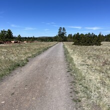 Carie Pigeon - Flagstaff AZT Loop (AZ)
