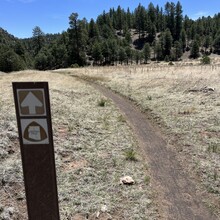 Carie Pigeon - Flagstaff AZT Loop (AZ)