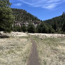 Carie Pigeon - Flagstaff AZT Loop (AZ)