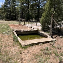 Carie Pigeon - Flagstaff AZT Loop (AZ)