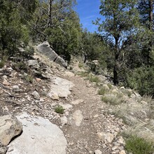 Carie Pigeon - Flagstaff AZT Loop (AZ)