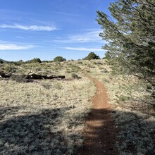 Carie Pigeon - Flagstaff AZT Loop (AZ)