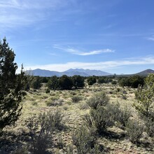 Carie Pigeon - Flagstaff AZT Loop (AZ)