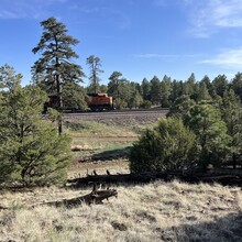 Carie Pigeon - Flagstaff AZT Loop (AZ)