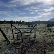 Carie Pigeon - Flagstaff AZT Loop (AZ)