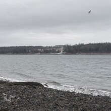 Brandon McCluskey - St. Andrews Wharf-to-Wharf Beach Run (NB, Canada)